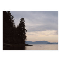 Voile de Chuckanut Cartes De Visite Professionnelles