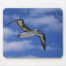 Vol d'albatros de Laysan en air Tapis De Souris