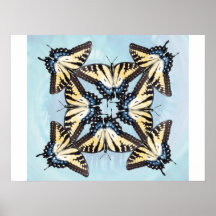 Vol de bleu affiches
