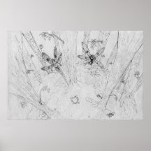Vol de Fae Affiches