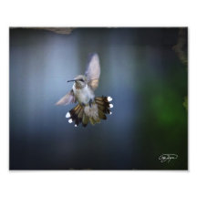 Vol de la photo d'ange