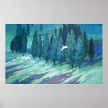 VOL DE LA PLEINE LUNE AFFICHE