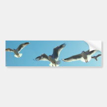 Vol de mouette adhésifs pour voiture