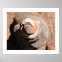 Vortex de cairn affiche