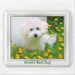 Votre cadre de photo sur Mousepad Tapis De Souris