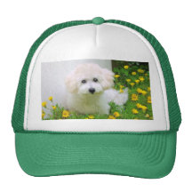 Votre photo sur un chapeau casquettes de camionneur