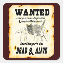 VOULU : Autocollants du chat de Schrodinger