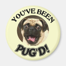 VOUS AVEZ ÉTÉ PUG'D ! - CHIEN DRÔLE DE CARLIN MAGNETS