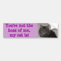 Vous n'êtes pas le patron de moi, mon chat est ! autocollants pour voiture