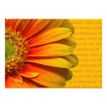 vous serez mon gerbera jaune-orange de demoiselle  faire-parts