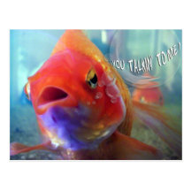 Vous Talkin à moi ? Carte Postale