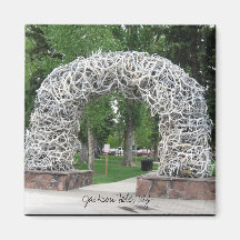 Voûte de Jackson Hole Antler Magnets