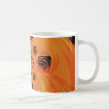 Voyage dans la tasse de Romantis