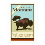 Voyage Montana Carte Postale