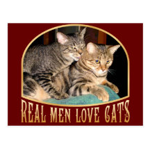 Vrais chats d'amour d'hommes carte postale