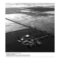 Vue aérienne des gisements de riz par Ansel Adams posters