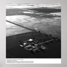 Vue aérienne des gisements de riz par Ansel Adams Posters