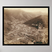 Vue de bois mort de l'écart-type 1888 de Mt. Moria