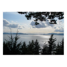 Vue de la commande de Chuckanut Cartes De Visite Professionnelles
