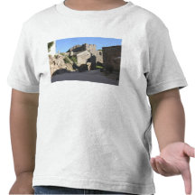 Vue de l'église enrichie construite par les cheval t-shirts