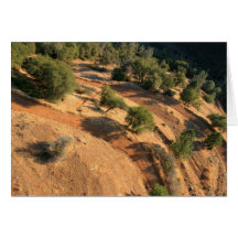 vue de l'oeil d'aigles cartes de vœux