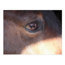 Vue de l'oeil du cheval [carte postale]