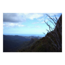 Vue de panorama de Coromandel Forest Park Tirage Photo