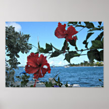 Vue tropicale de St Croix Affiche