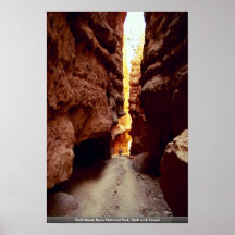 Wall Street, parc national de Bryce, format de roc Posters