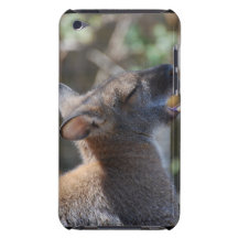 Wallaby iPod Touch Cases