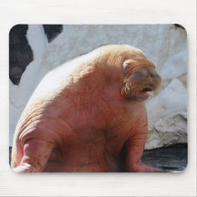 Walrus-3320 Tapis De Souris