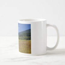 Washington Mug