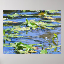Watersnake Affiches