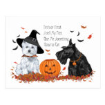 Westie et Scottie Halloween Cartes Postales