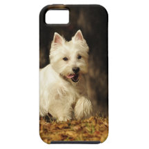 Westie sur le mouvement coques iPhone 5