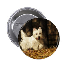 Westie sur le mouvement pin's