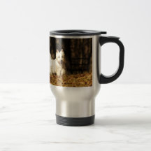 Westie sur le mouvement tasse