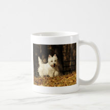 Westie sur le mouvement tasse