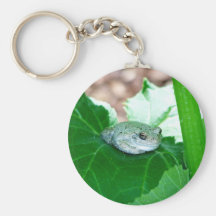 What's Up, Tree Frog Key Chain