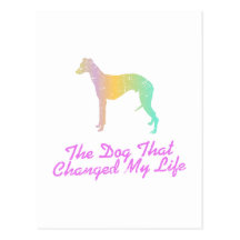 Whippet Cartes Postales