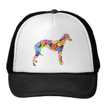 Whippet Casquette
