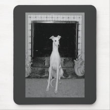 Whippet - MousePad Tapis De Souris
