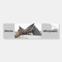 Whisperer original de cheval autocollants pour voiture