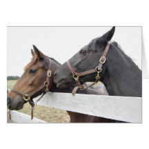 Whisperer original de cheval carte