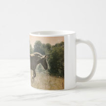 wild horses mug à café