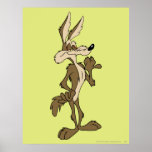 Wile E. Coyote Looking fier Affiche