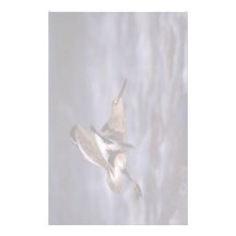 willet papier à lettre personnalisé
