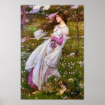 Windflowers par John William Waterhouse Posters