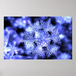 Winterborn Posters