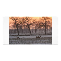 Winterlandschap Foto Kaart